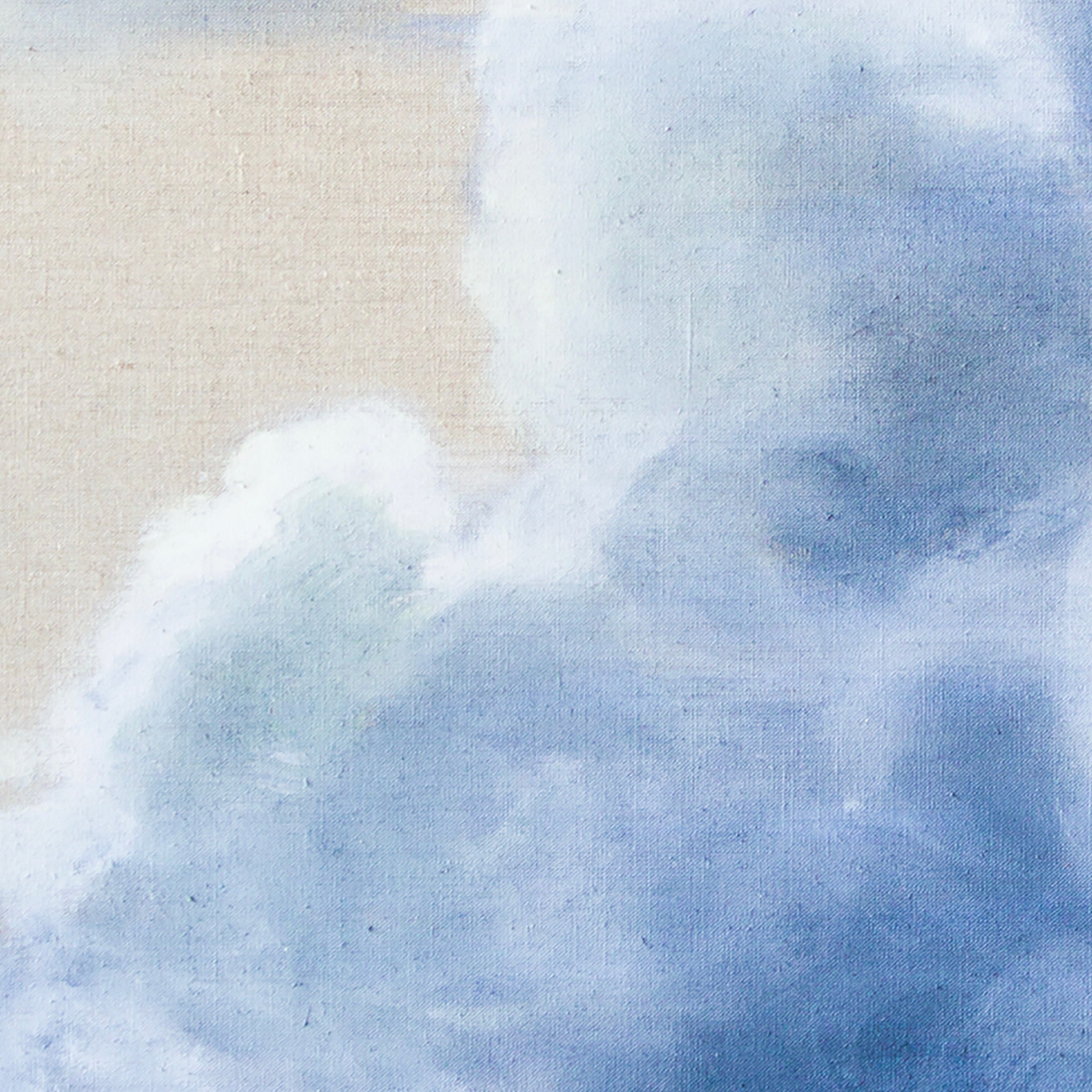 Chasing Breezes Canvas Print