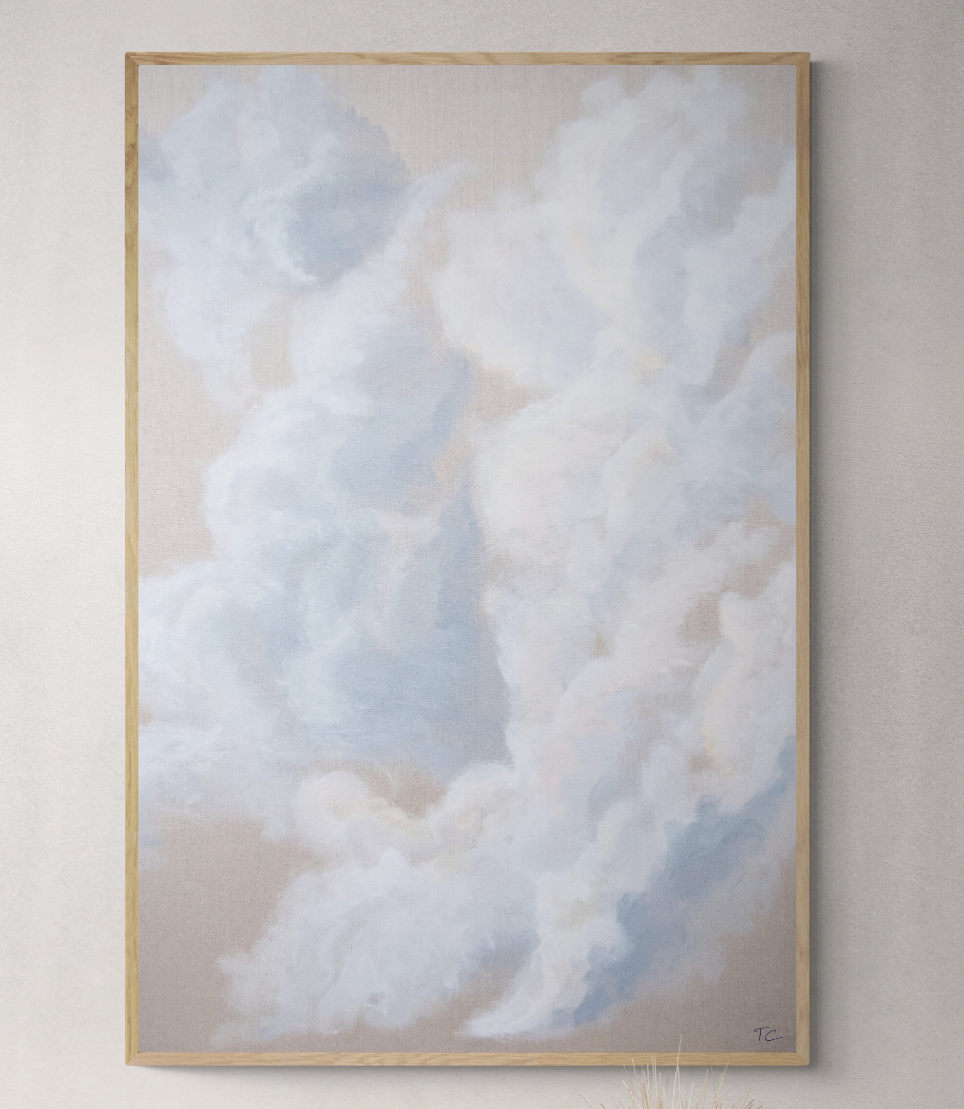 Dreamy Veil Canvas Print